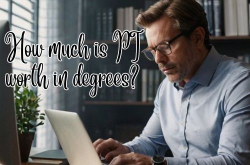 a professional as a PI