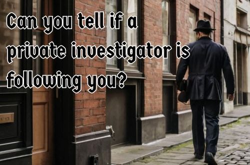 a private investigator following someone in the field