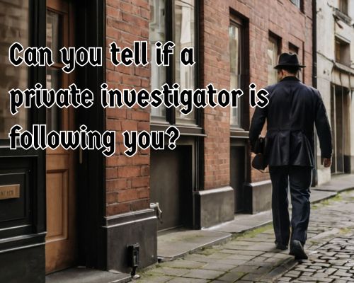 a private investigator following someone in the field