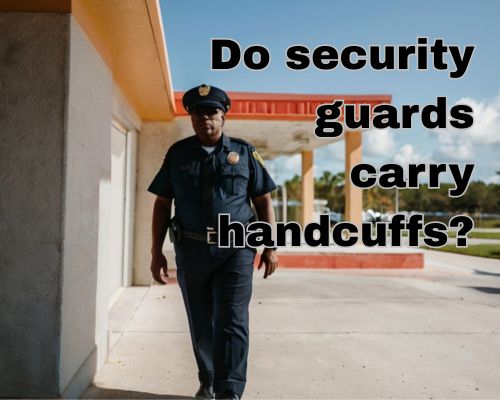 a security guard working and roaming