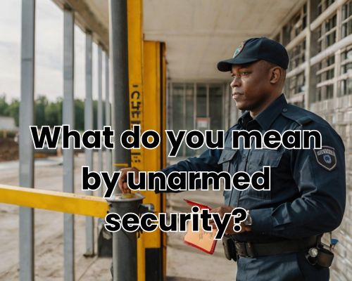 Guard in uniform